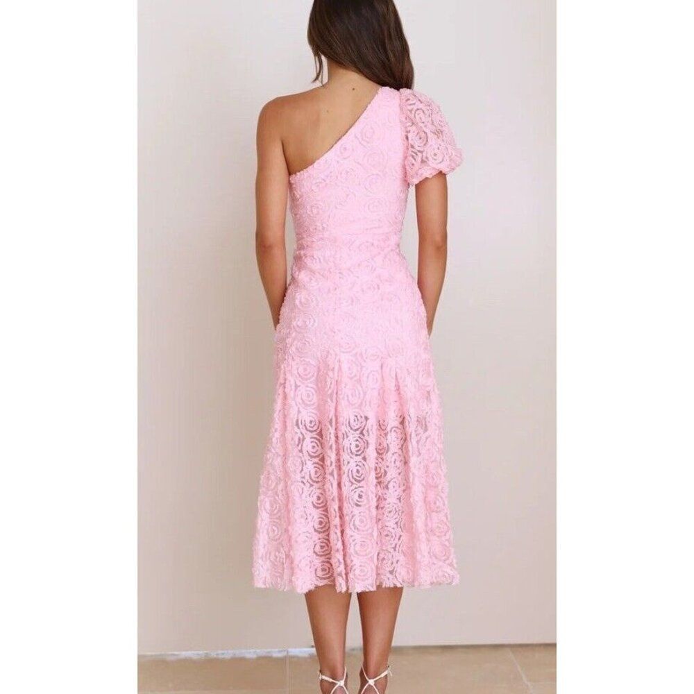 Hello Molly Pink IN FULL BLOOM MESH MIDI DRESS One Shoulder Floral Medium US 6 - Picture 2 of 4